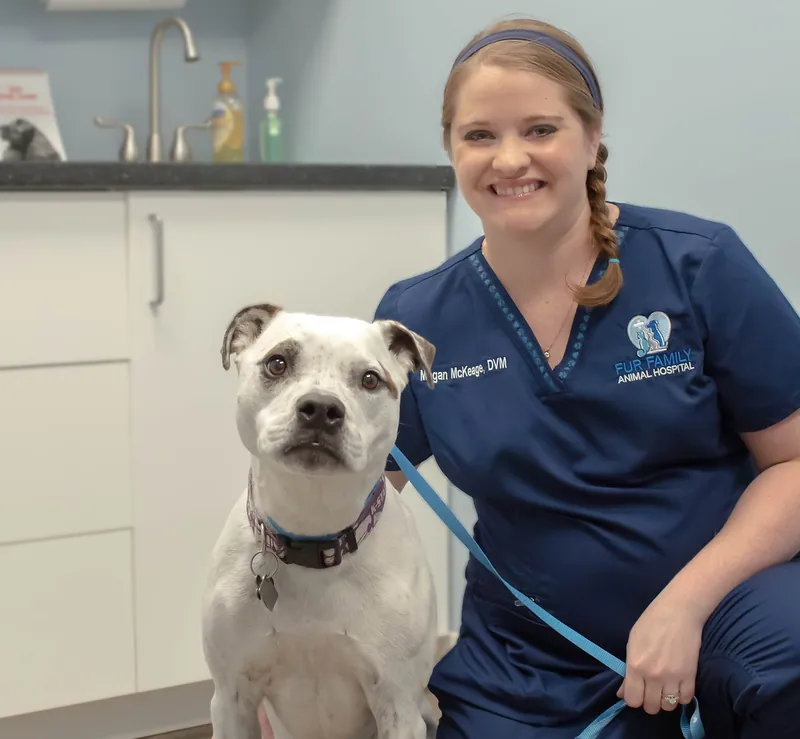 Dr. Megan McKeage, Owner / Veterinarian